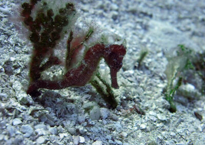 5ea497b3ce884156177386