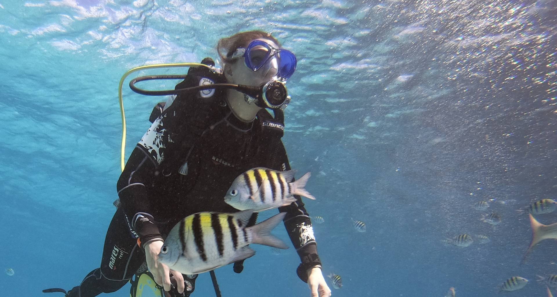 Tourism, diving and the COVID situation