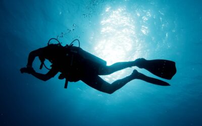 Explore the Deep Blue Sea: Top Reasons To Try Scuba Diving Today