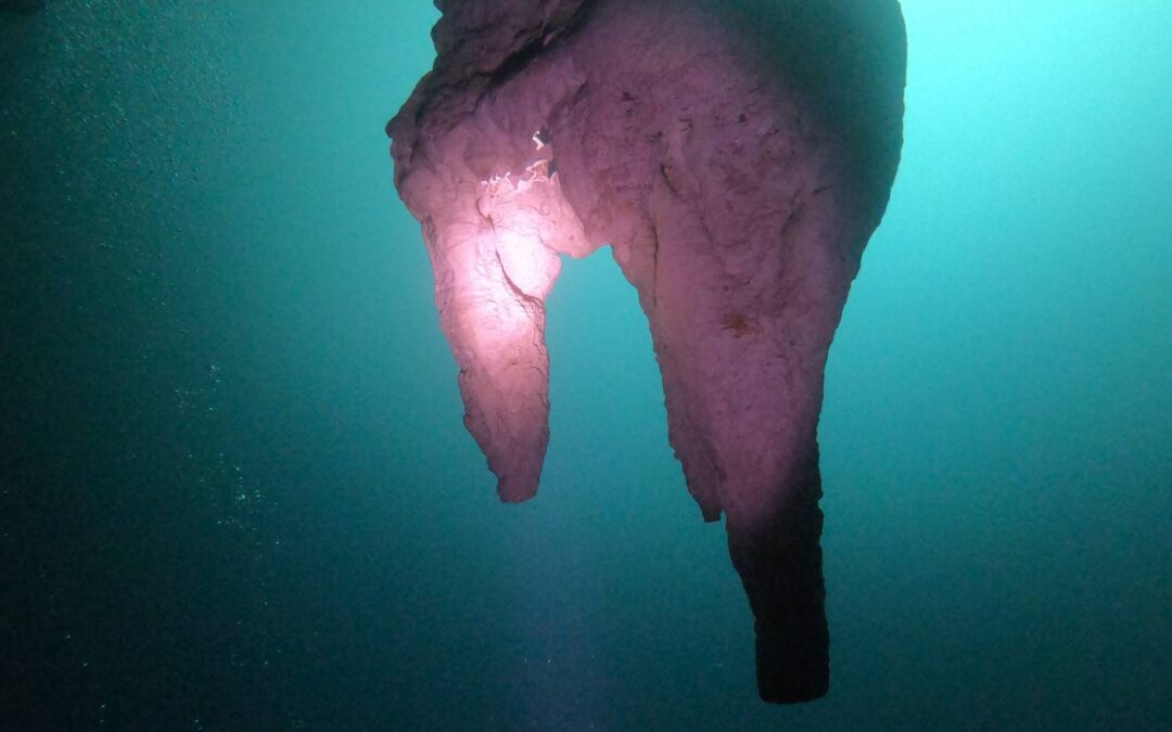 A unique Cenote Dive, meet Angelita