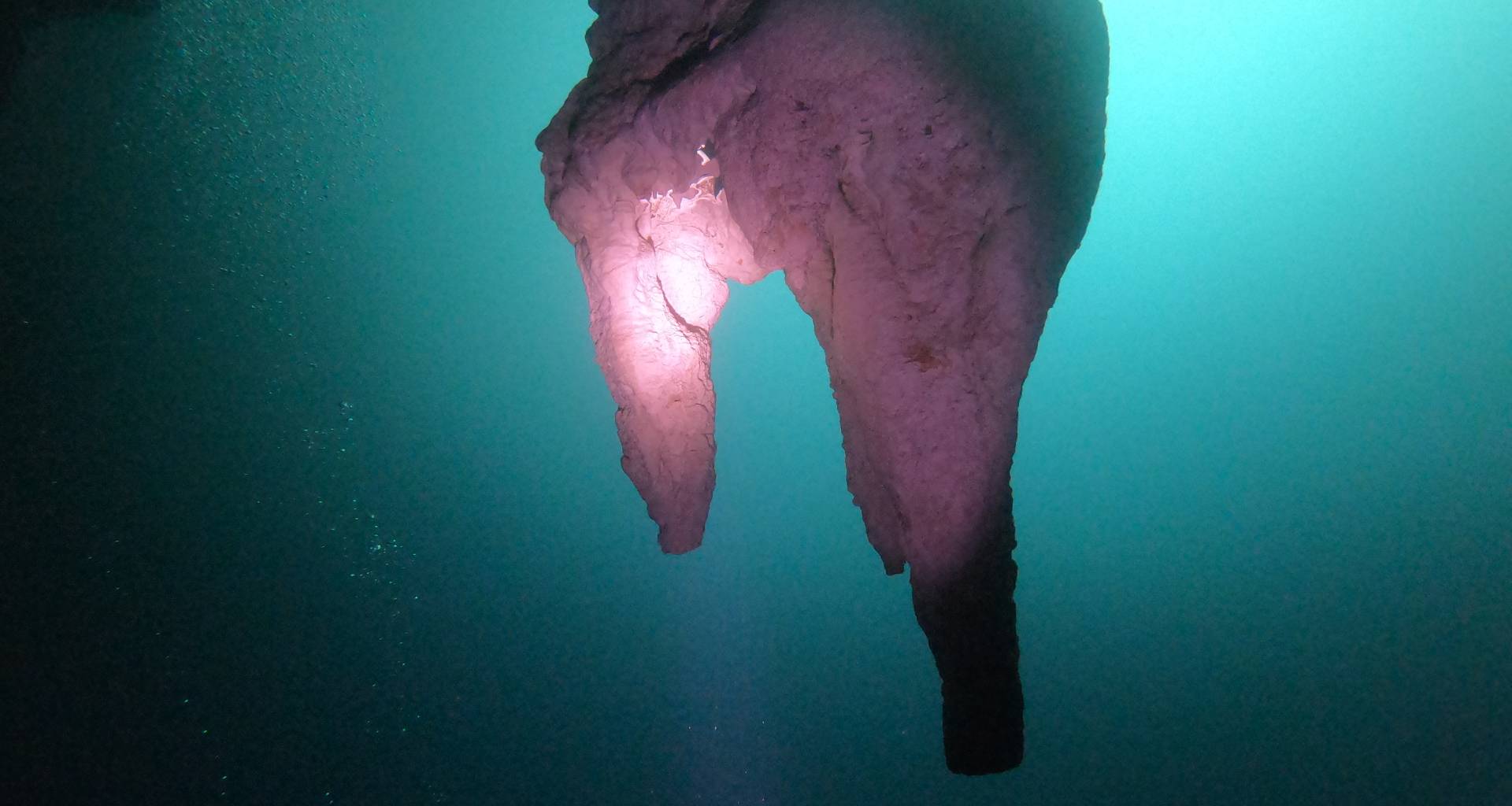 A unique Cenote Dive, meet Angelita