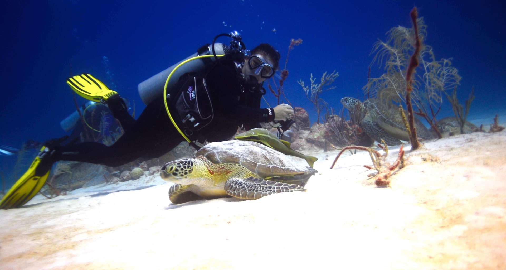 Best seasons to dive in the Riviera Maya