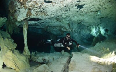 Cenote diving in Mexico – Everything you need to know for your first immersion into a magical ancient world