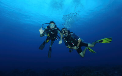 How to Plan the Perfect Scuba Diving Trip to Remember