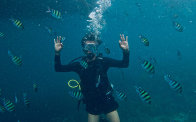 Scuba Diving Safety: What Every Diver Should Know Before Diving In