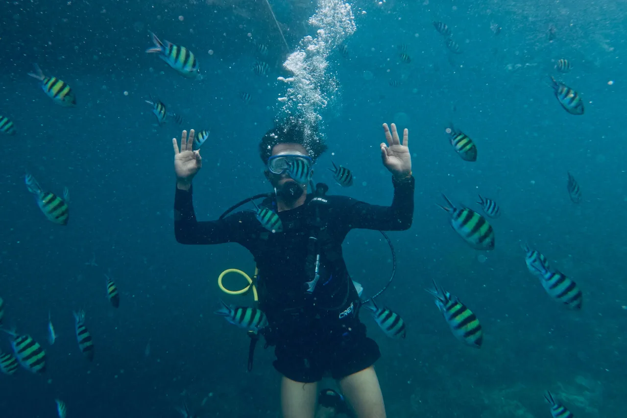 Scuba Diving Safety: What Every Diver Should Know Before Diving In