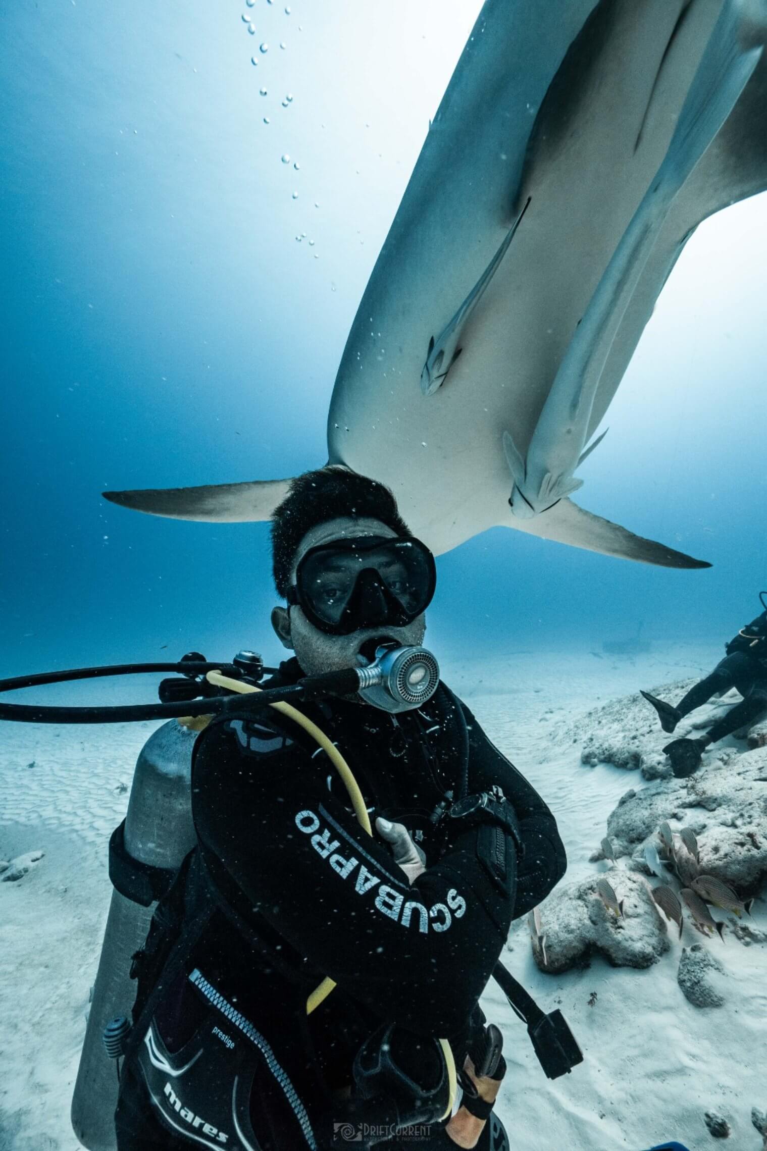 Diver shark-002 Diver shark 002