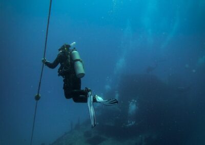 blue experience gallery 0008