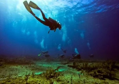 Ocean Diving 134 blue experience gallery 0015