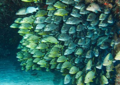 blue experience gallery 0019