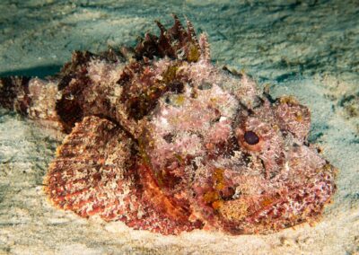 blue experience gallery 0021