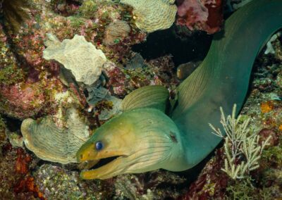 blue experience gallery 0034