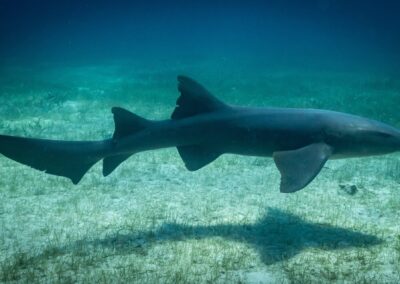 blue experience gallery 0040