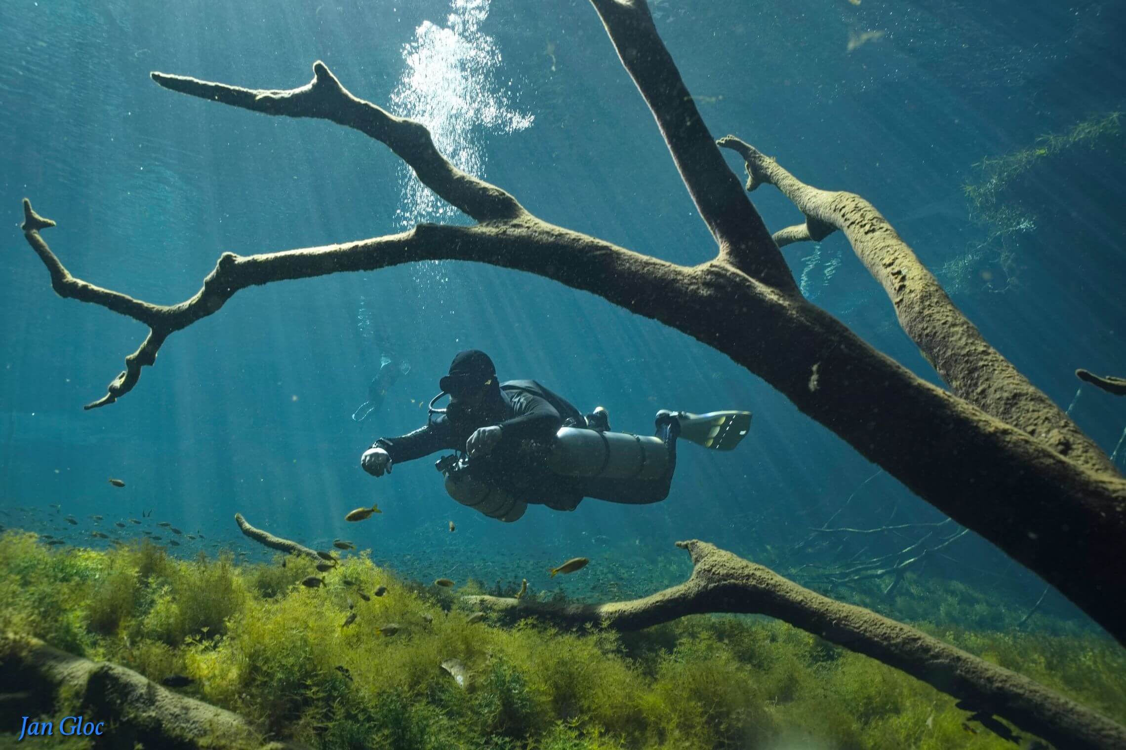 buceo 004