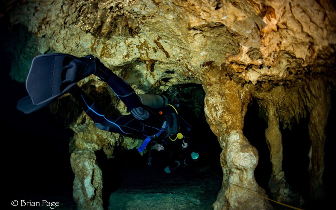 The best cenotes to Scuba Dive in the Riviera Maya