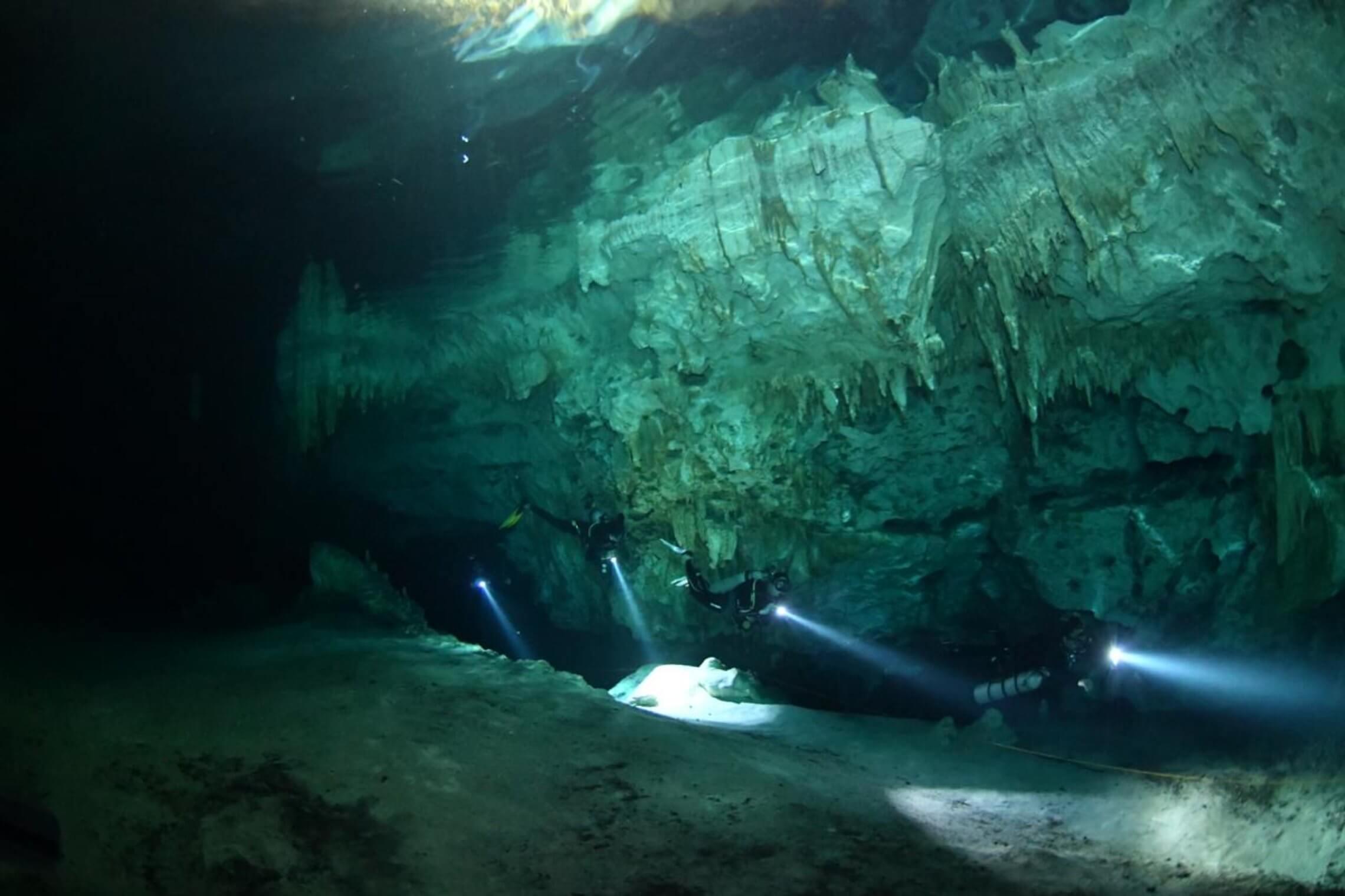 cenote diving blue experience 0002
