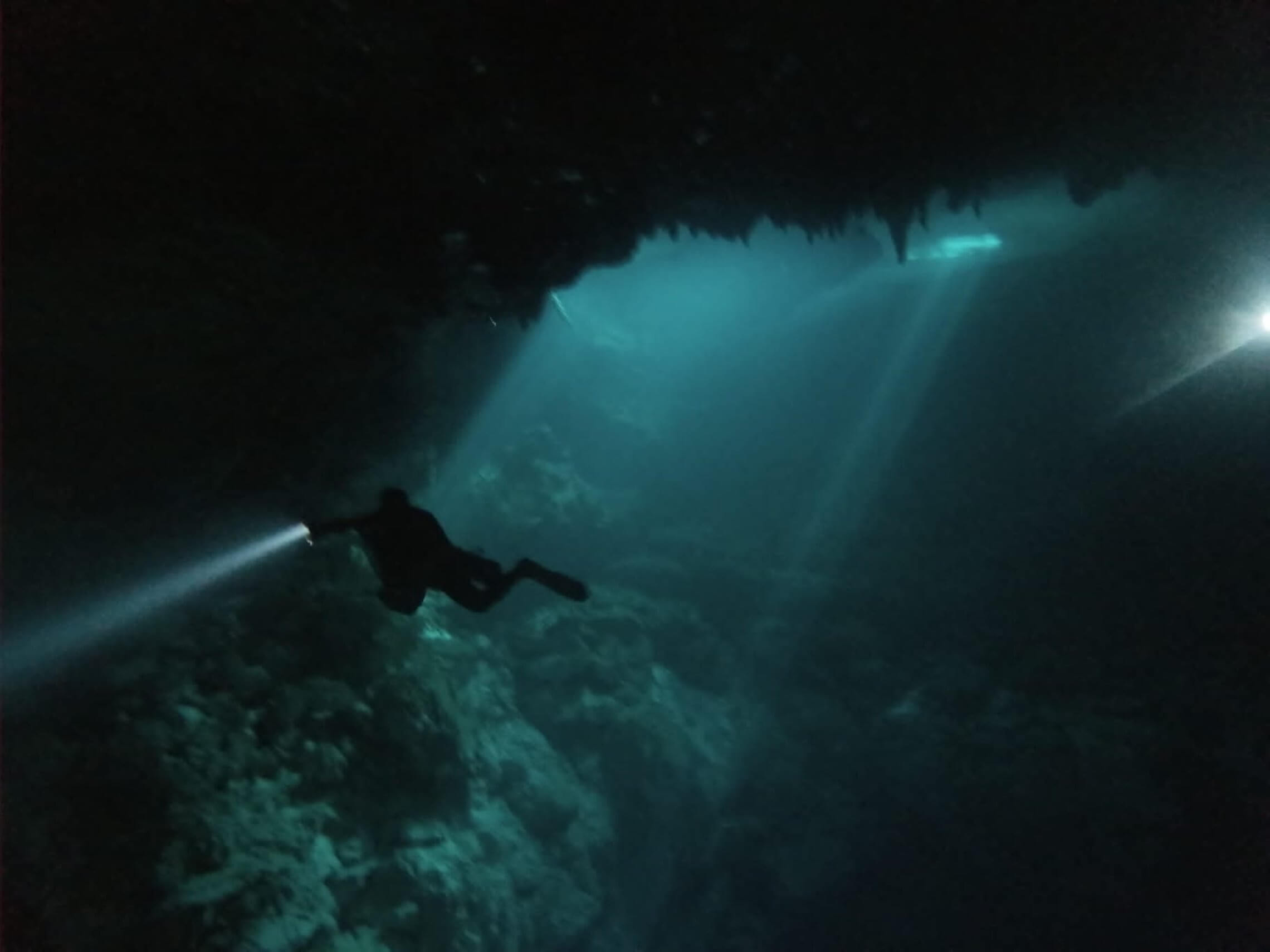 cenote diving blue experience 0006