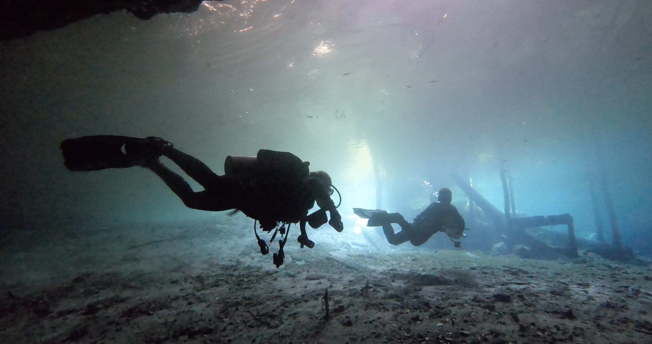 cenote diving blue experience 0010