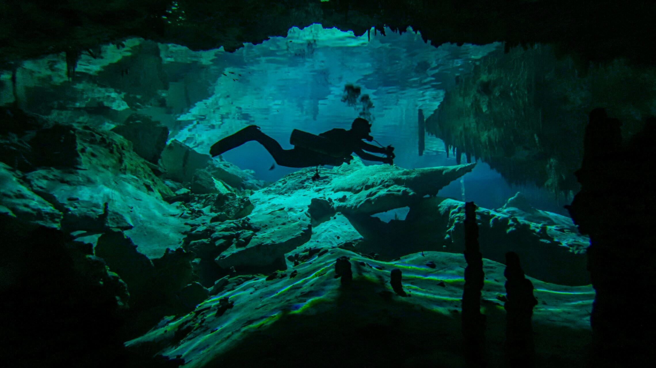 cenote diving blue experience 0012