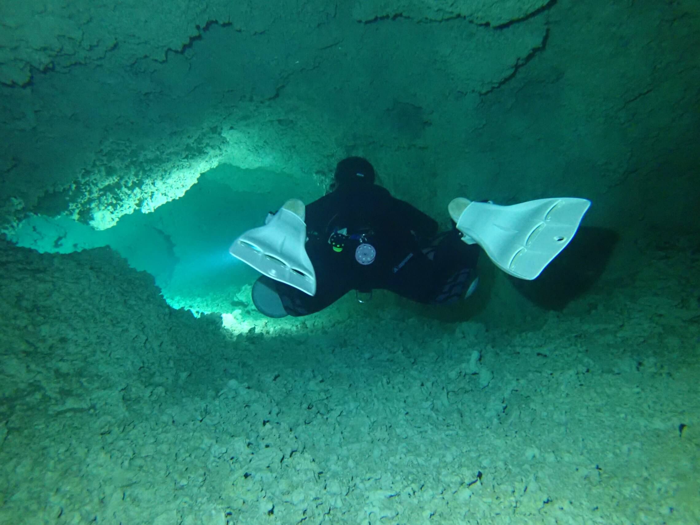 cenote diving blue experience 0015