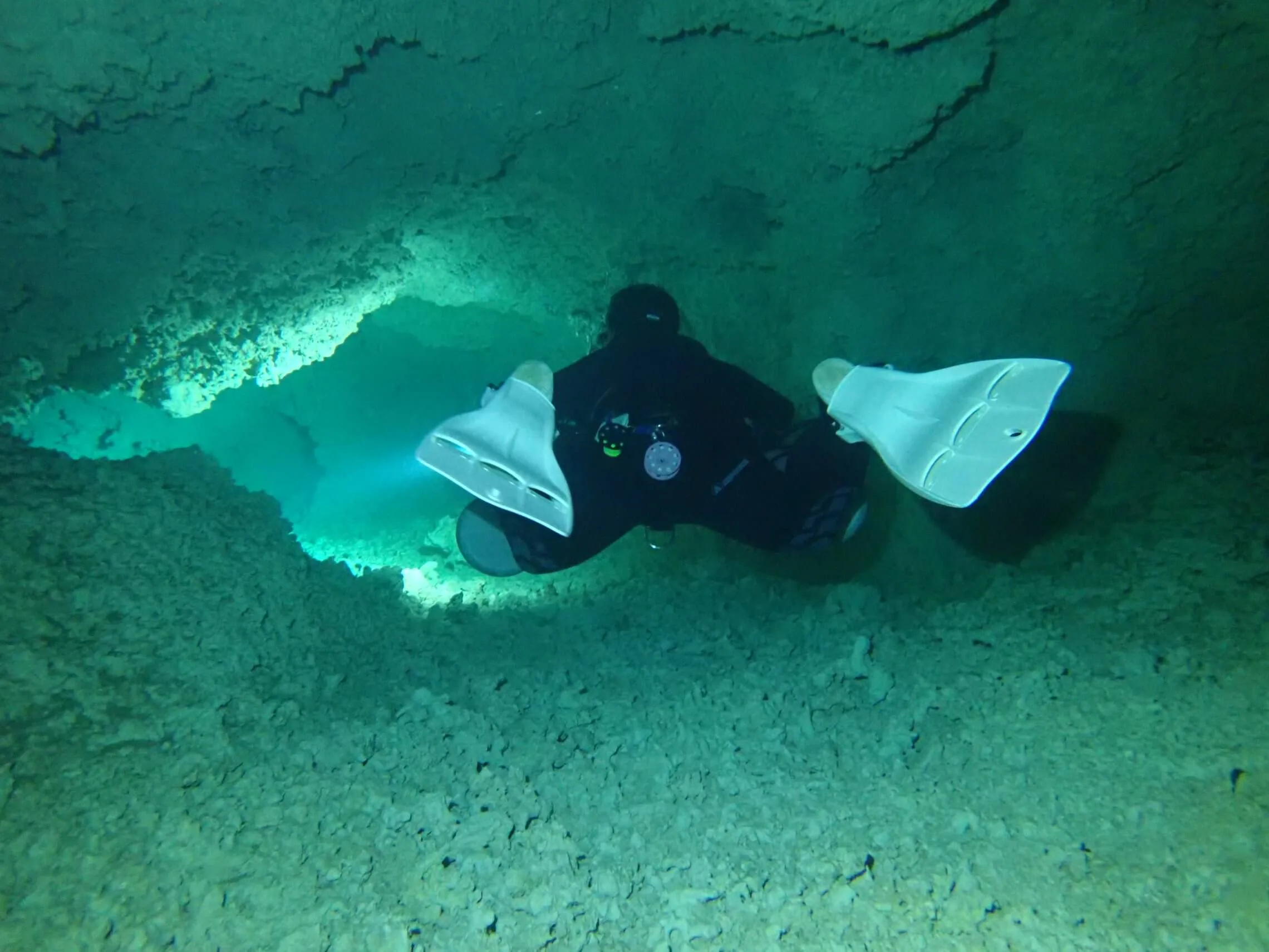 cenote diving blue experience 0015