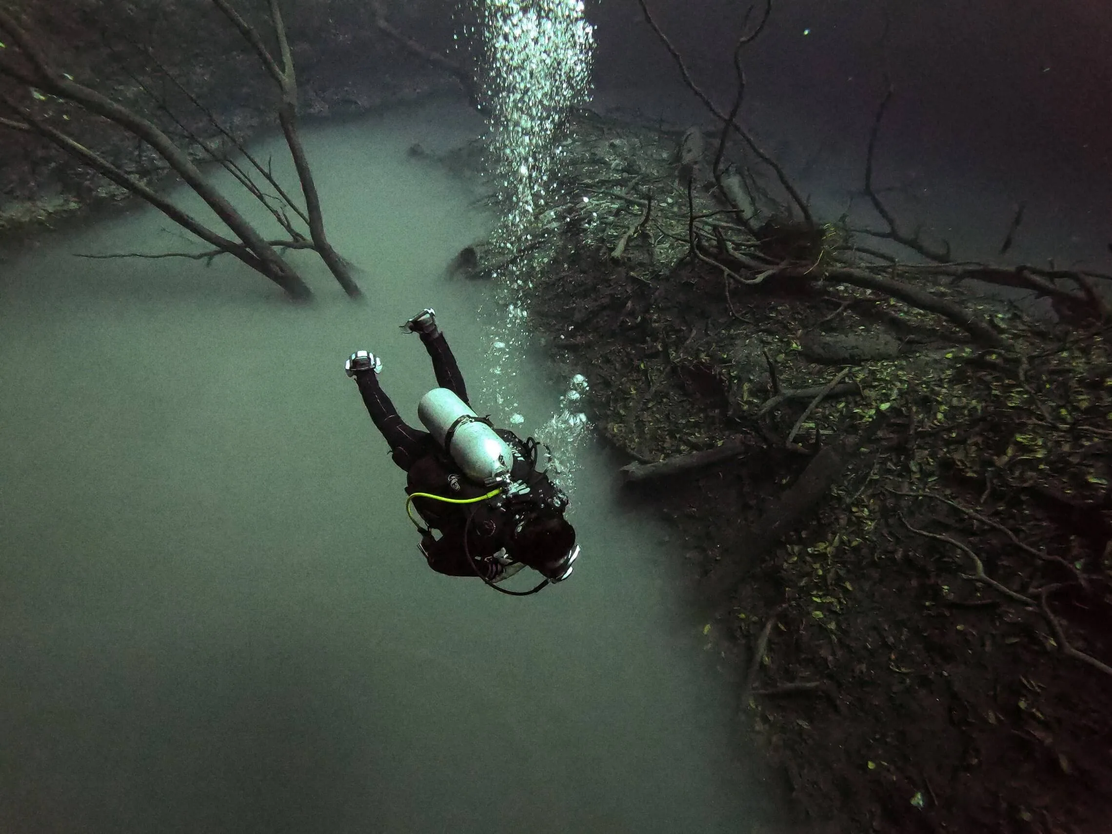 cenote diving blue experience 0018
