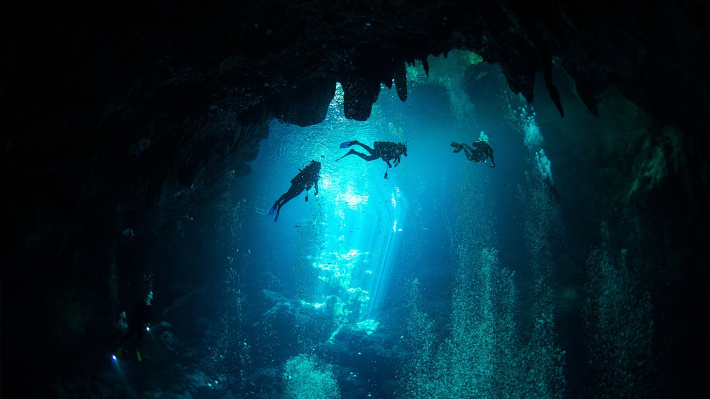 cenote-diving-blue-experience-0022 cenote diving blue experience 0022