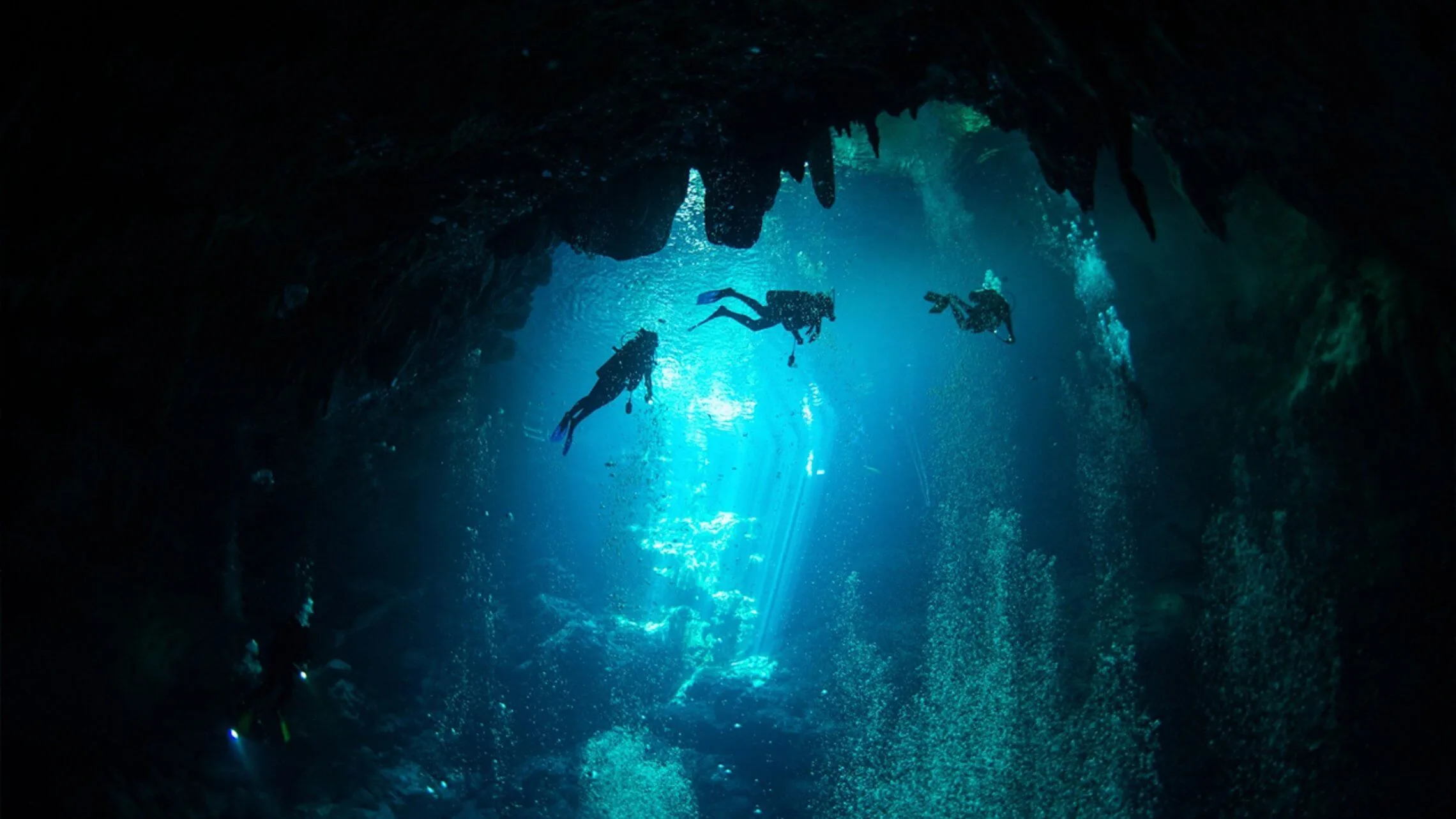 cenote diving blue experience 0022