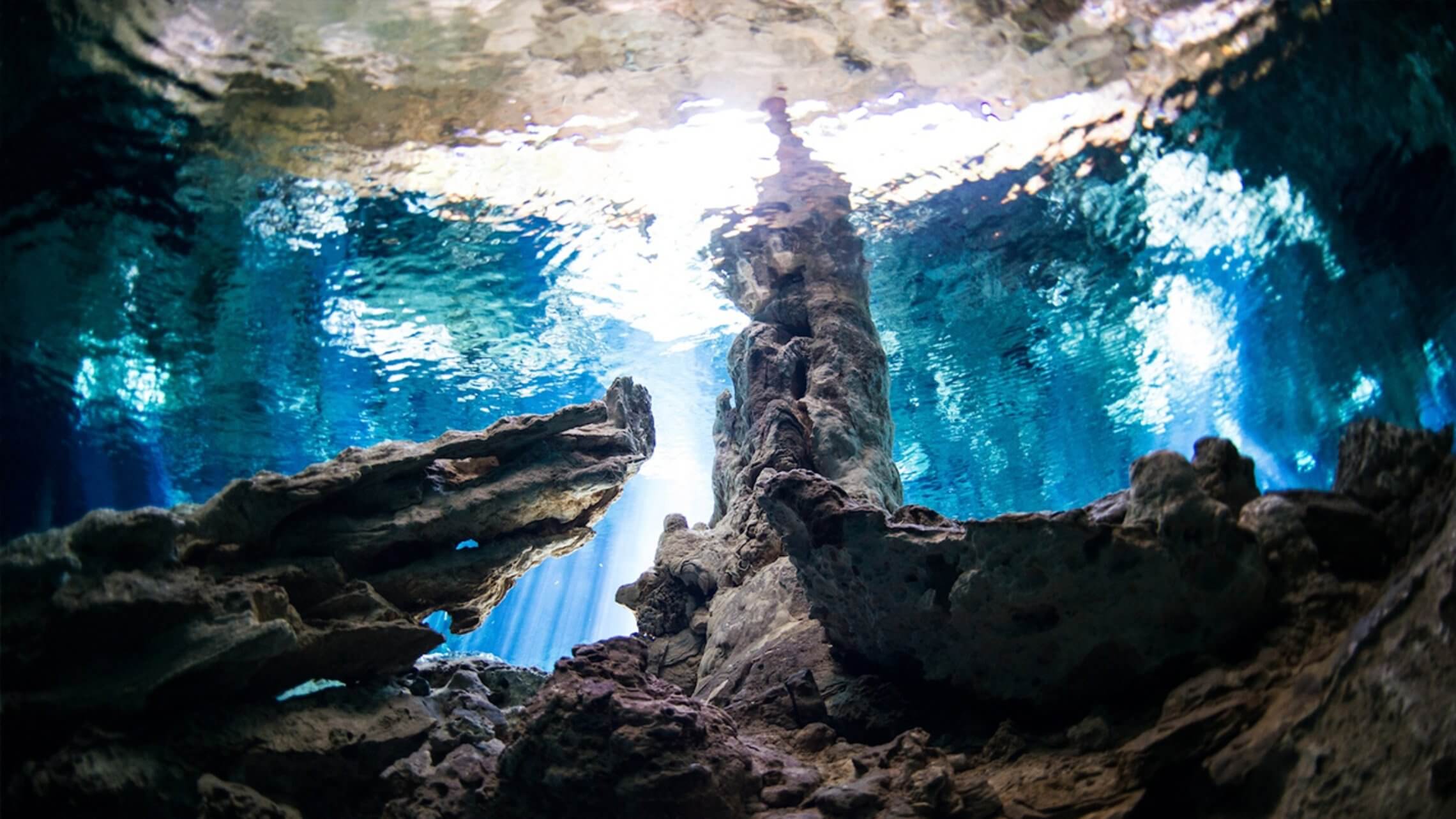 cenote diving blue experience 0024