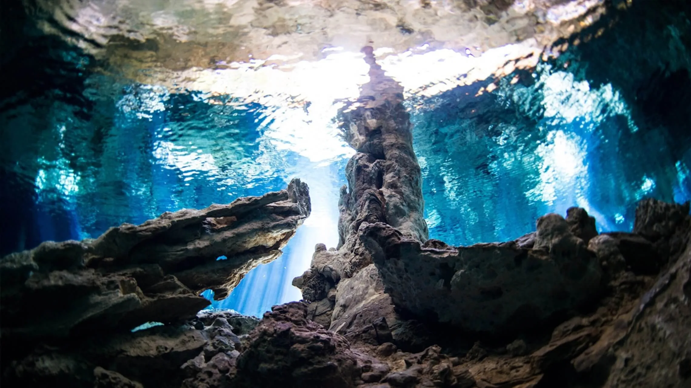 cenote diving blue experience 0024