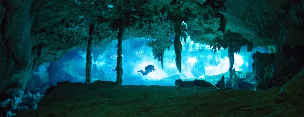 cenote diving blue experience 0025