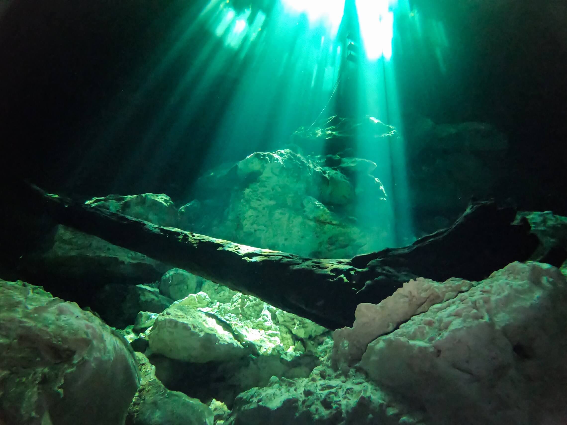 cenote tajma ha 002