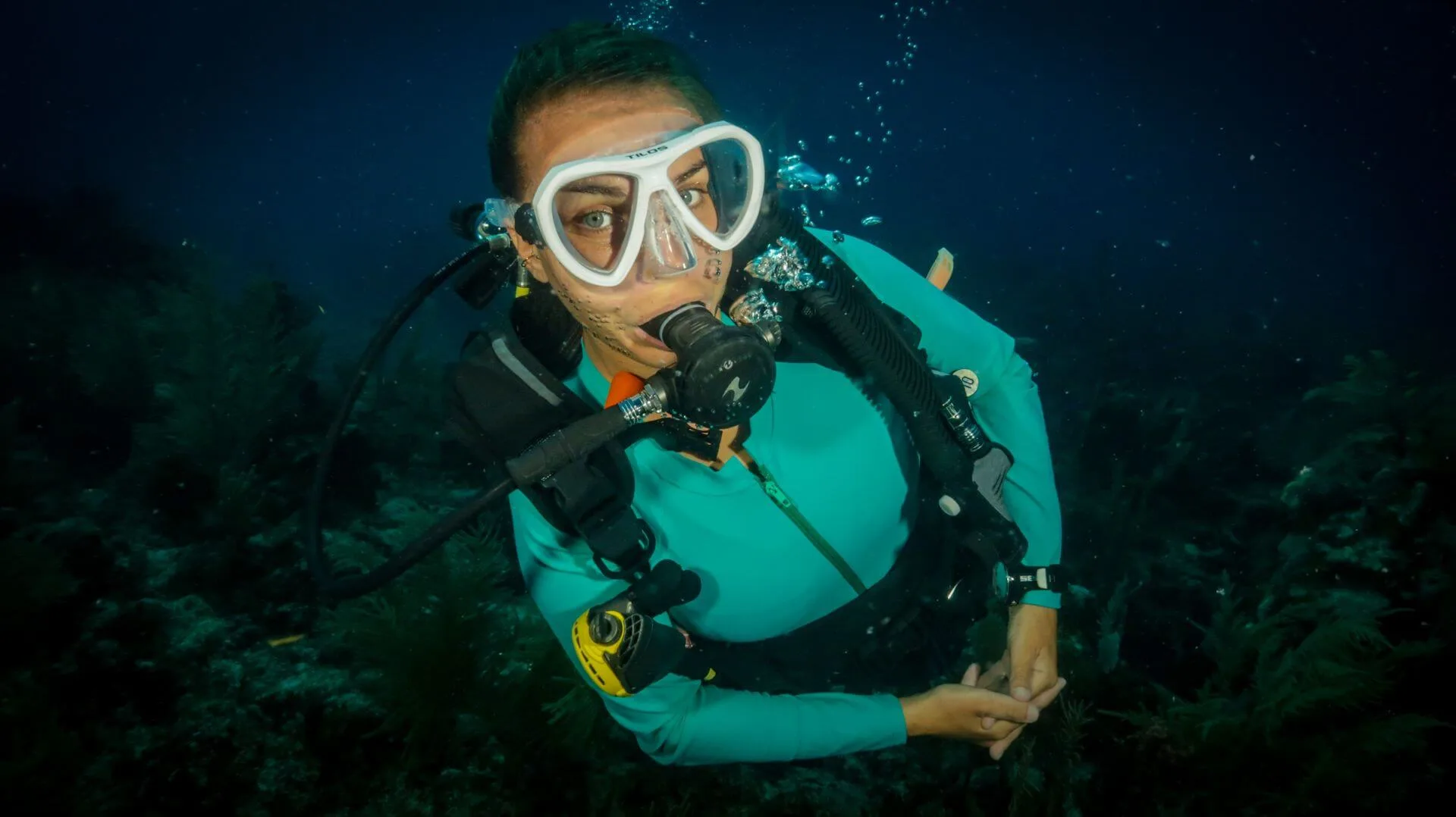 diver 002