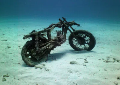 ocean diving 34