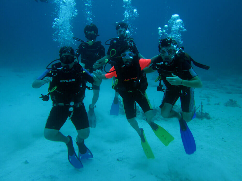 ocean-diving-50 ocean diving 50